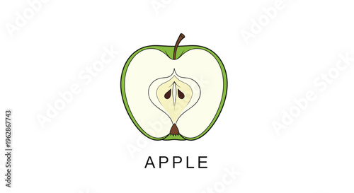 Close-up illustration of a fresh green apple cut in half vertically to show the internal core, white flesh, and dark seeds.