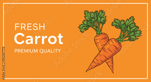 Two fresh orange carrots with green leafy tops are shown on a bright orange background with premium quality text for agricultural marketing.