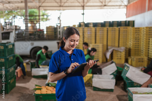 Asian woman smart farmer using tablet to inspect mango quality for export standards and food security in organic orchard.