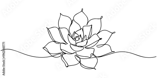 Set of continuous line succulents. Blossoming echeveria, beautiful succulent flower. One line drawing concept. Vector illustration isolated on white background.