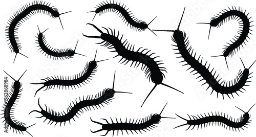 Collection of centipede silhouettes in crawling poses, detailed insect set isolated for nature, biology, pest control, and illustration design use