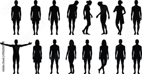 Collection of human silhouettes in various standing poses, male and female figures set isolated for anatomy reference, design, and illustration use