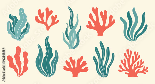 Coral reef seaweed plants in various shapes and sizes on cream
