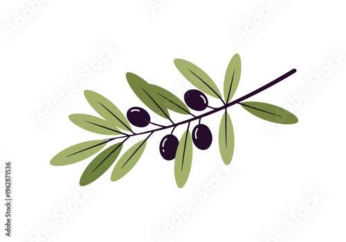 A vibrant illustration of an olive branch with ripe black olives and green leaves, symbolizing healthy Mediterranean cuisine and the beauty of nature's bounty
