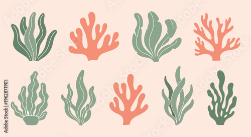 Coral reefs in various coral and green colors on beige