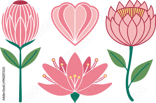 Elegant Lotus and Protea Floral Elements with Pink Petals in Minimalist Flat Style vector,Generative Ai