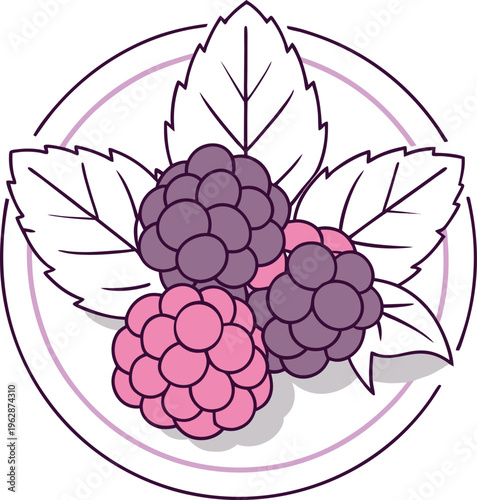 Blackberry and raspberry berries set in artistic circular line art style vector,Generative Ai