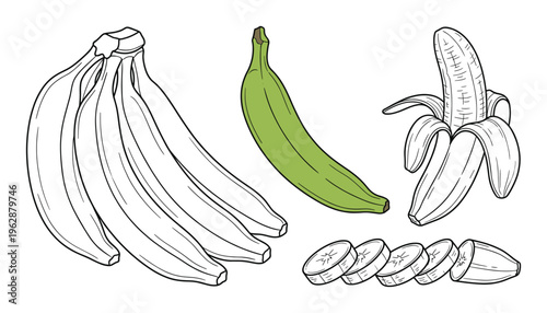 Banana fruit vector set including bunch of whole fruits and peeled banana with slices on checkered