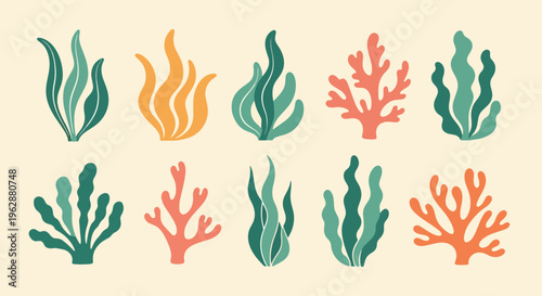 Collection of various coral reef and seaweed plants in different colors
