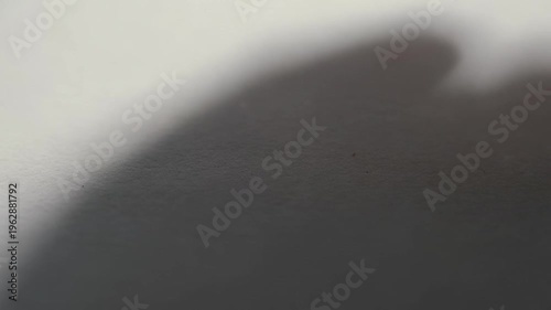 Dramatic shadow play: light and dark interaction on textured surface