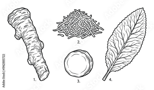 Ginger root sliced and leaf vintage engraving style isolated on transparent background