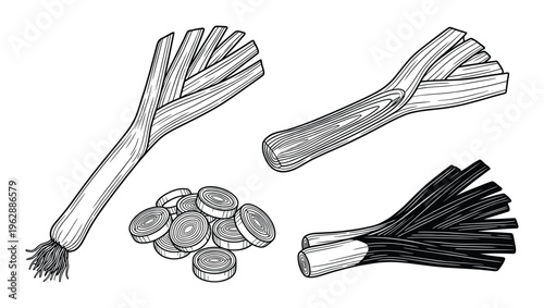 Leek vegetable, bulb, sliced and bunch of leek stalks isolated on white background