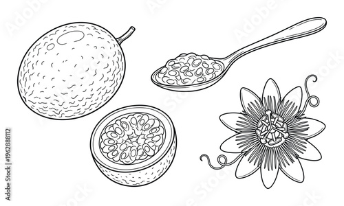 Passion fruit set with whole fruit, cut fruit, spoon with seeds, and flower
