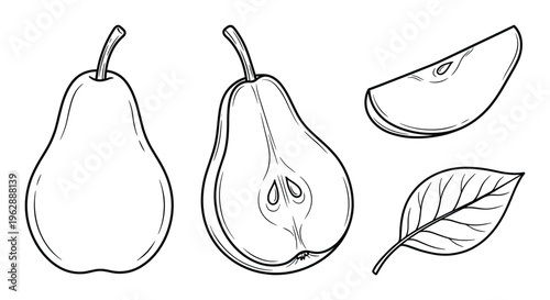 Pear vector illustrations set outline sketch style sweet fruit plant isolated on transparent background