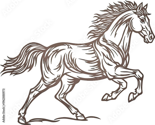 Minimal Horse Outline Simple Sketch Illustration

