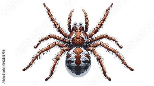 Detailed Spider Pixel Art Illustration Isolated on White Background