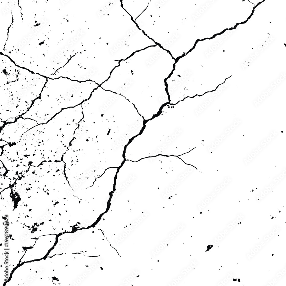 Obraz premium Intricate black lines spread across a stark white canvas forming abstract patterns resembling dried riverbeds or cracks in ancient earth