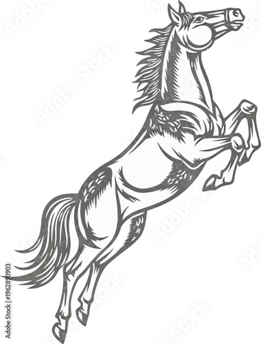 Horse Line Art Sketch Minimal Outline Illustration

