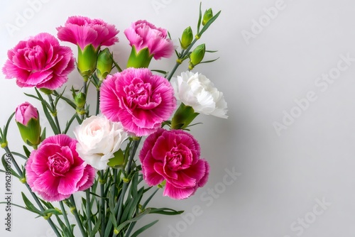 Pink and white carnations bouquet celebrating fresh blossoms