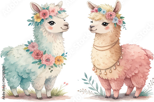 Watercolor Alpaca Clipart, Cute Boho Farm Animal Illustration, Isolated on White