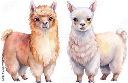 Hand-Painted Alpaca Watercolor, Adorable Llama Alpaca Art, Isolated Vector Clipart