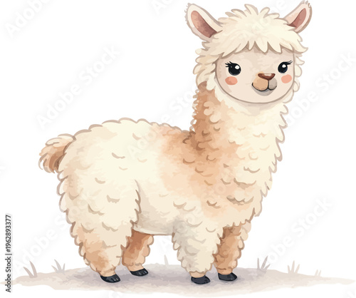 Watercolor Alpaca Illustration, Cute Fluffy Farm Animal Clipart, Hand Painted Style, vector isolated on white background