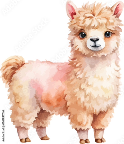 Watercolor Alpaca, Cute Fluffy Farm Animal Clipart, Hand Painted Style, vector Illustration isolated on white background