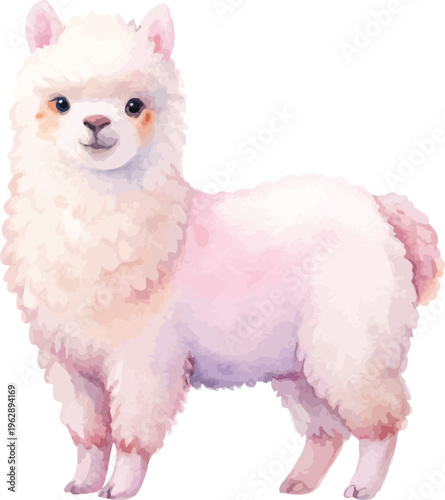 Watercolor Alpaca Clipart, Cute Boho Farm Animal Illustration, Isolated on White