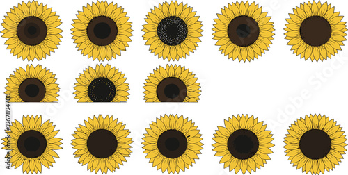 Sunflower flower collection vector illustration set, bright yellow floral elements with different centers and petals, botanical summer nature design isolated on background