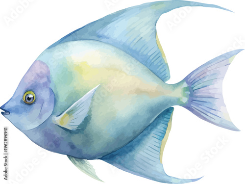 Watercolor Angelfish Clipart, Vibrant Reef Fish Illustration, Isolated on White