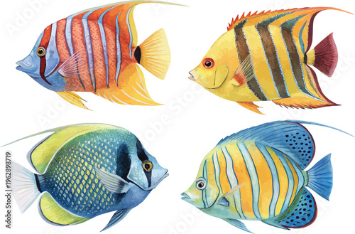 Watercolor Angelfish Clipart, Vibrant Reef Fish Illustration, Isolated on White