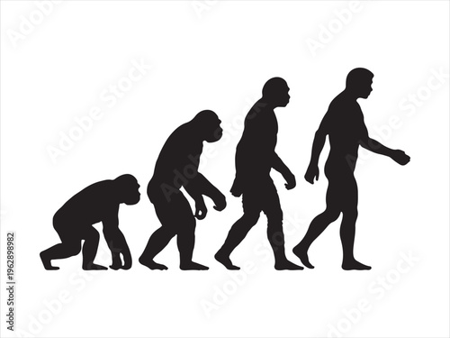 A black silhouette graphic depicting the gradual biological evolution of humans from primates Vector, illustration