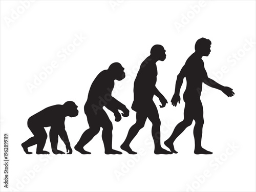 A black silhouette graphic depicting the gradual biological evolution of humans from primates Vector, illustration