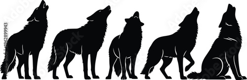 Silhouette of six wolves howling in unison on a white background