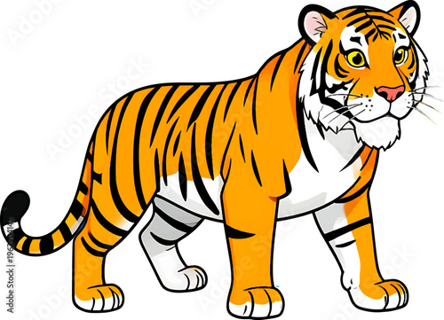 Majestic Bengal tiger vector illustration, wild orange predator with black stripes, standing jungle cat mascot for zoo and nature education isolated on Transparent Background