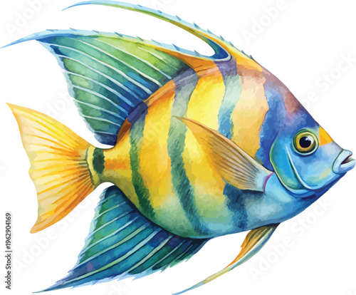 Watercolor Angelfish Clipart, Colorful Tropical Fish Illustration, Isolated on White