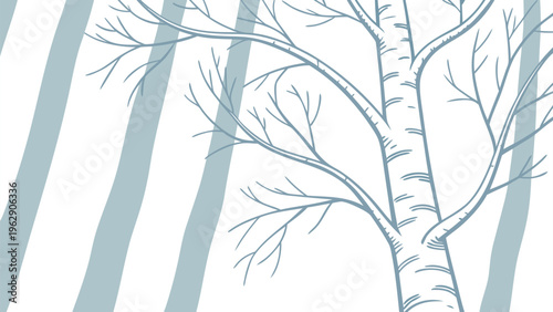 Elegant bare tree branches standing tall against a soft sky backdrop with gentle natural lines