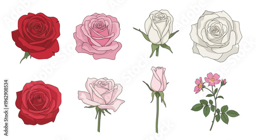 Collection of hand-drawn rose illustrations featuring red, pink, and white blossoms with buds and wild flowers on a white background for romantic floral design.