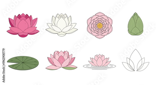 Elegant Lotus Flower Vector Collection Featuring Pink and White Water Lily Icons, Lily Pad, and Buds for Wellness, Yoga, Meditation, and Zen Graphic Design Art.
