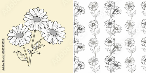 Fotografie Floral illustration showcasing daisies in a pattern and a clustered arrangement