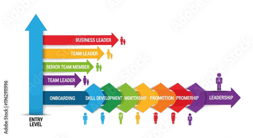 Career progression pathway illustrating steps from entry level to leadership