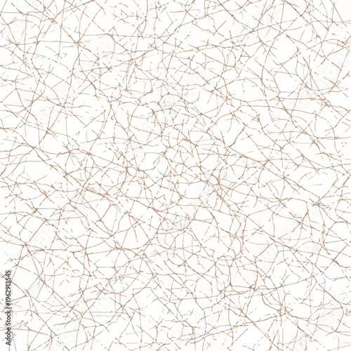 A neutral background of intricately patterned brown branching lines on white