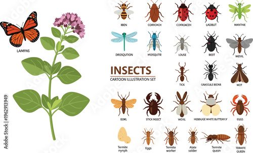 Large vector set of cartoon insect illustrations including butterfly bee ladybug dragonfly mantis and various beetle species alongside a blooming wildflower plant.