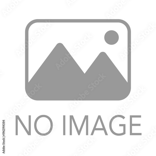 写真アイコン NO IMAGE ダミー用素材 文字入り