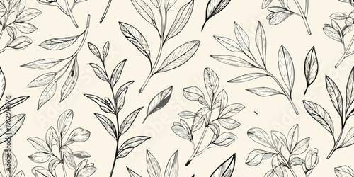 Delicate botanical illustration of leaves on a neutral background