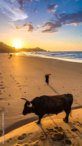 A serene beach scene with a cow walking on the shore