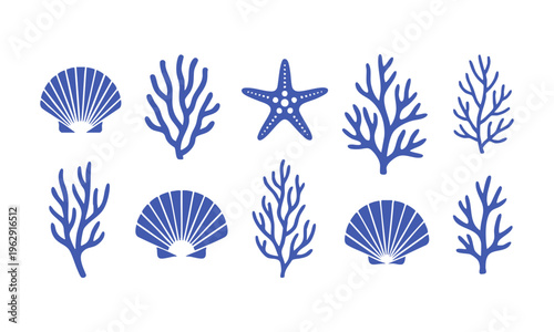 Coastal decorative marine elements with shells starfish vector set.