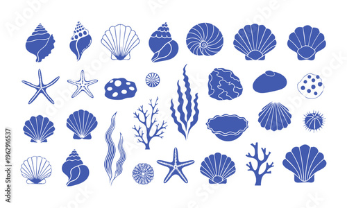 Coastal ocean elements set with shells starfish and coral vector.