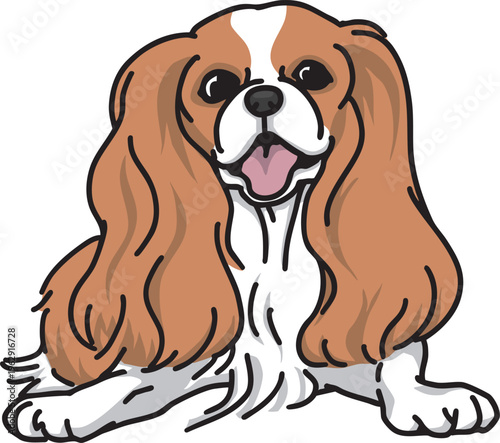 キャバリア　犬のイラスト　cabalier king charles 