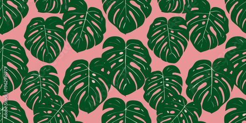 Seamless pattern of monstera leaves on a vibrant pink background